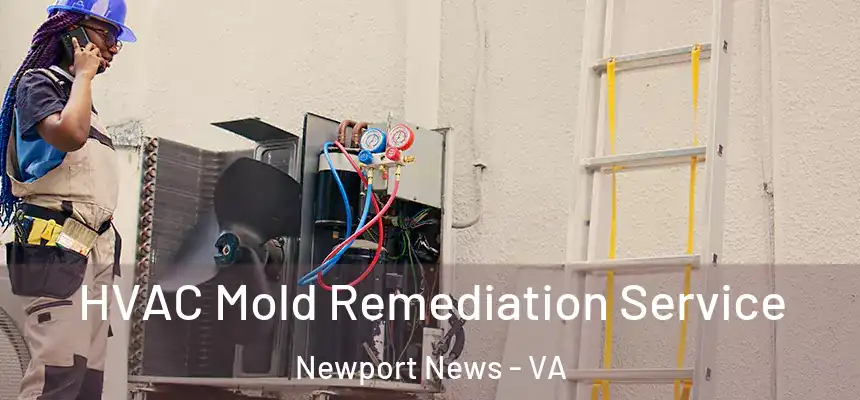  HVAC Mold Remediation Service Newport News - VA