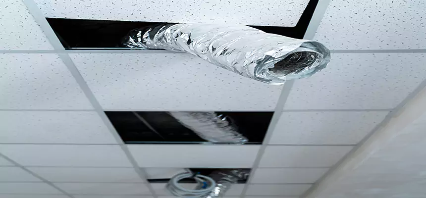 Our Air Duct Pet Hair Removal Services in Newport News, VA