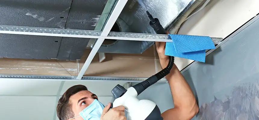 Our Air Duct Rodent Removal Services in Newport News, VA