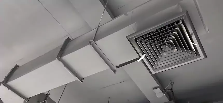 Our Pest Removal From Ducts Services in Newport News, VA