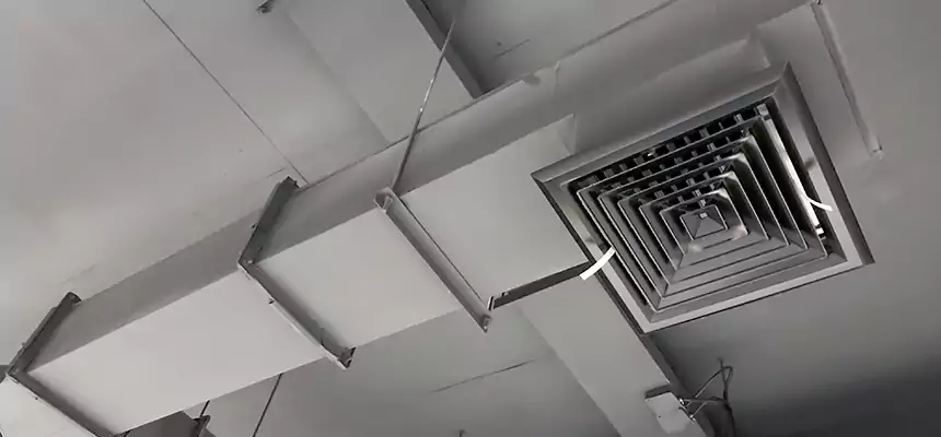 Our Rodent Droppings In Vents Services in Newport News, VA