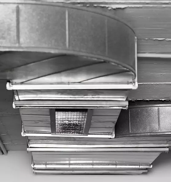 Professional Air Duct Pest Removal in Newport News, VA