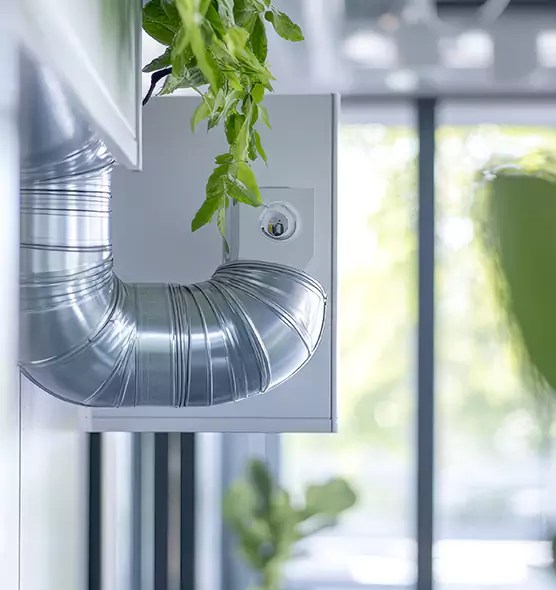 Professional Eco-Safe Dryer Vent Cleaning in Newport News, VA