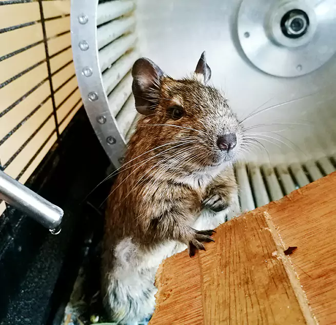 Why Homeowners & Businesses Trust Us Newport News, VA