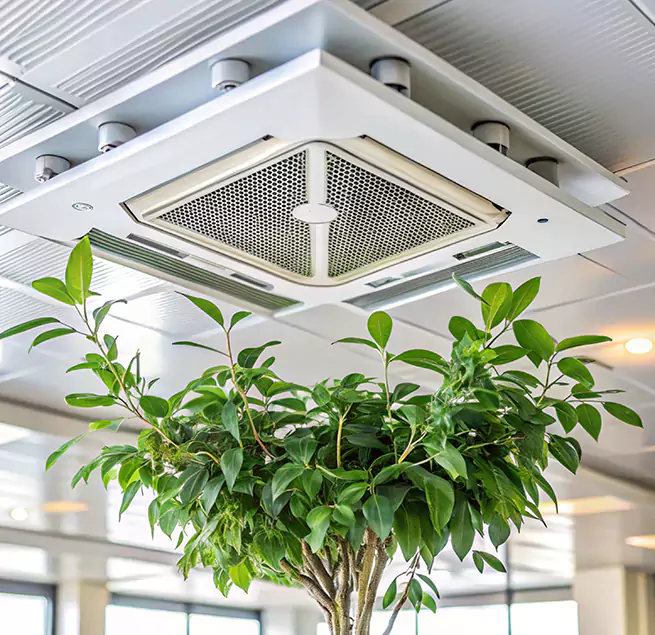 Why Homeowners & Businesses Trust Us in Newport News, VA?