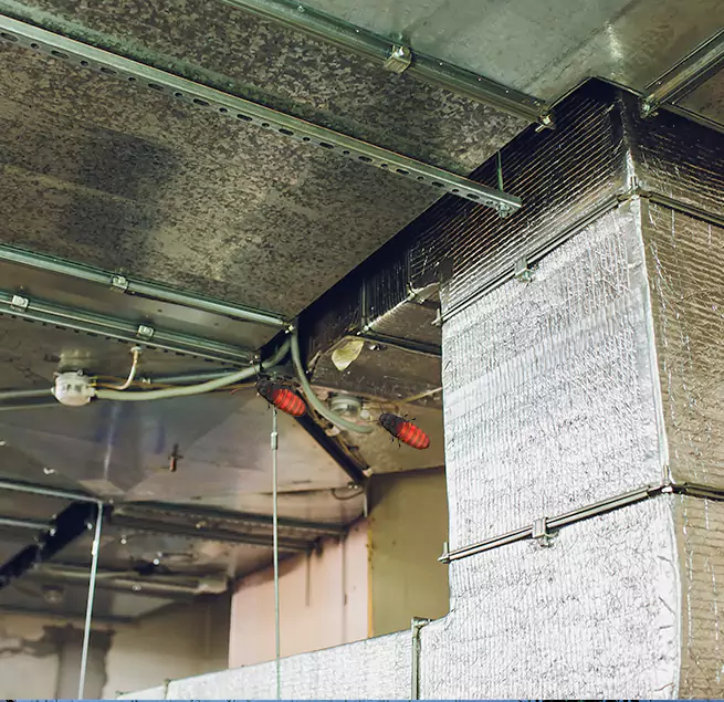 Why Homeowners & Businesses Trust Us Newport News, VA?